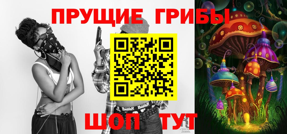Псилоцибиновые грибы Magic Shrooms  Вход с VPN  Кузнецк 