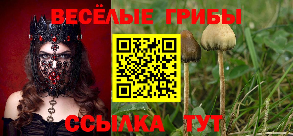 Псилоцибиновые грибы прущие грибы Кузнецк